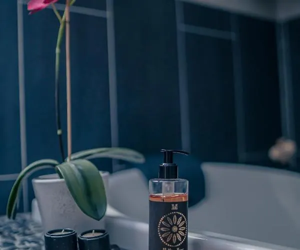 Piscine-spa-sauna, 25 Personnes, 5 Mn Ocean Villa *